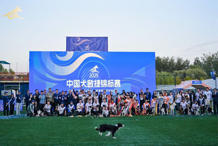 高水准赛事回顾：多个赛项直线上扬的简单介绍